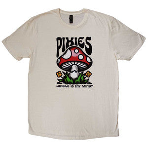The Pixies
